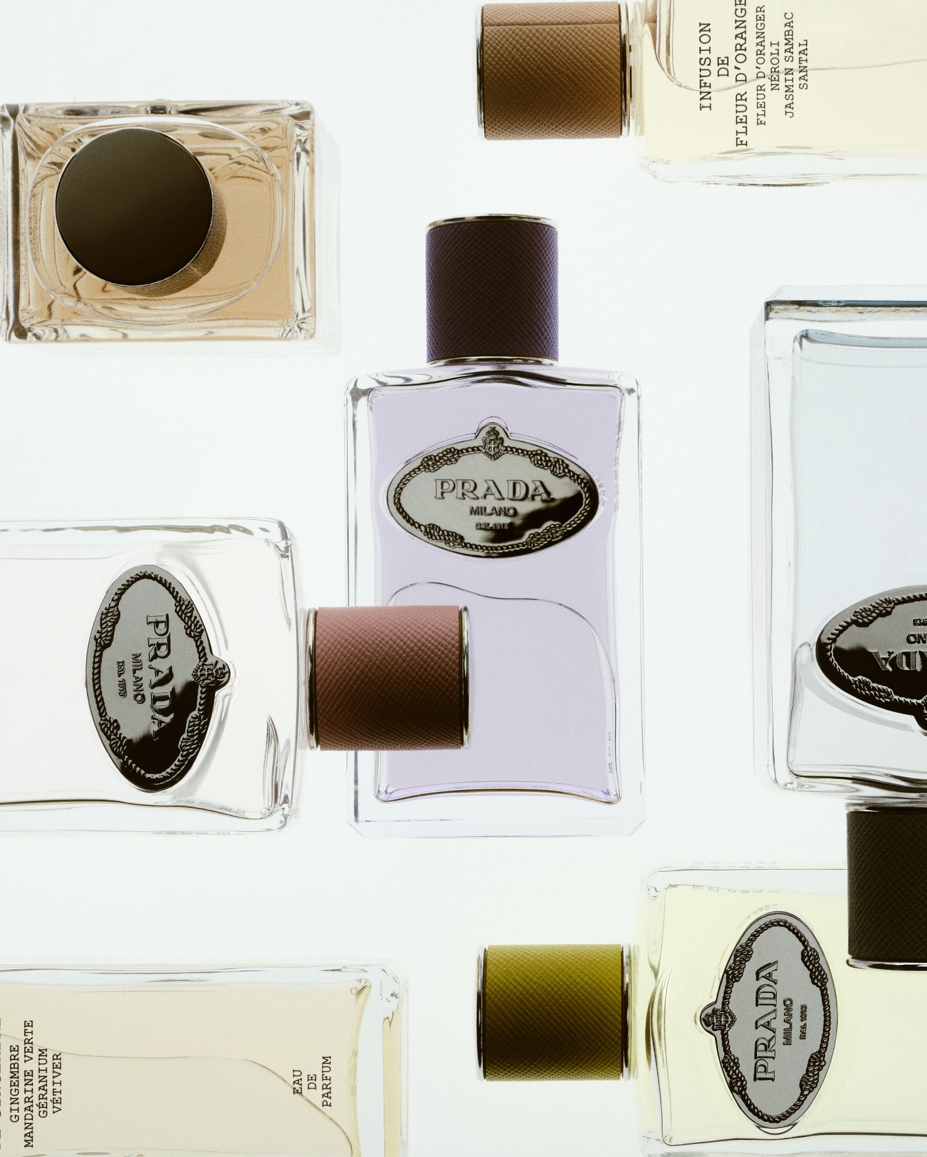 Prada Fragrances Exclusive Collection Prada Fragrances Exclusive Collection