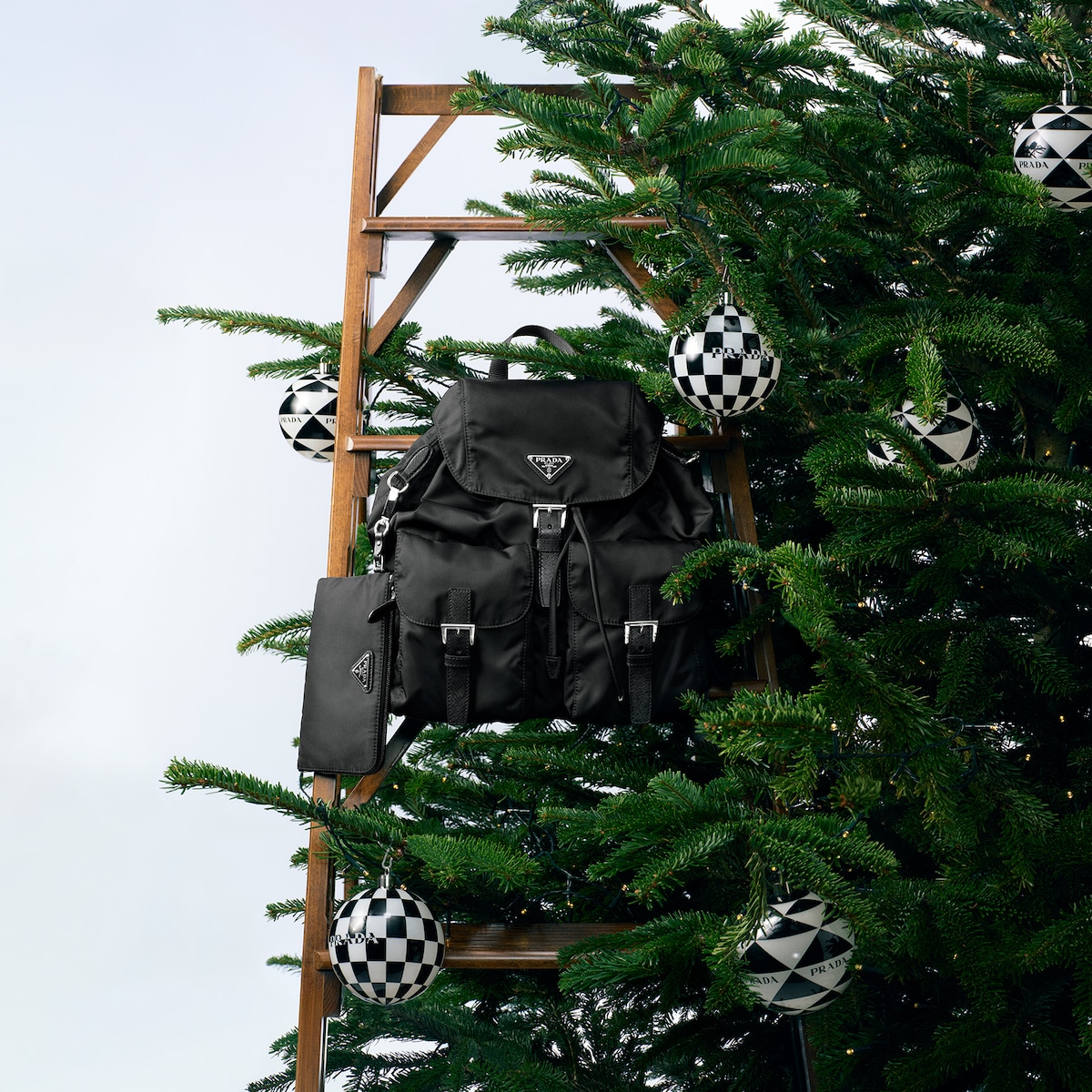 placeholder placeholder