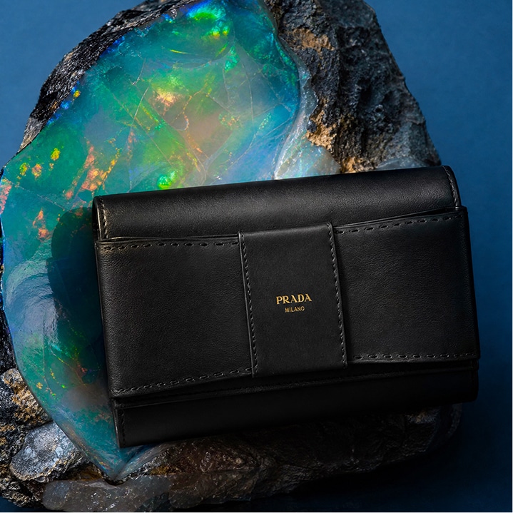 Prada Small Leather Goods for Her