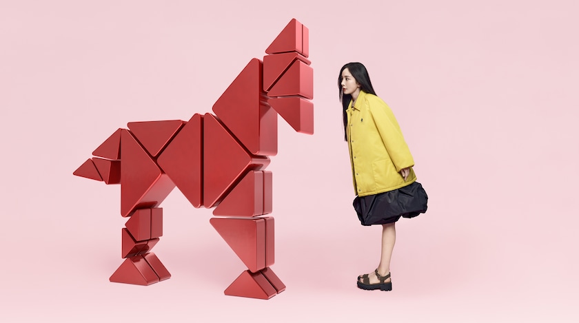 Chinese New Year Chinese New Year