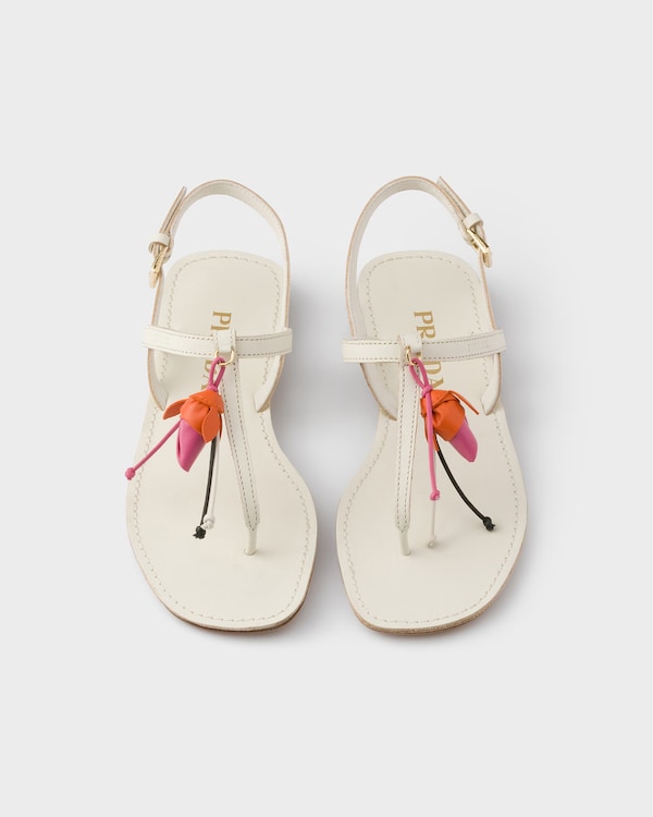 Women’s Shoes Women’s Shoes