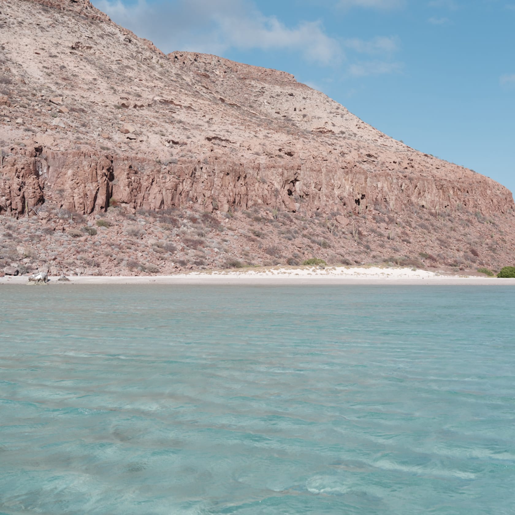 placeholder placeholder